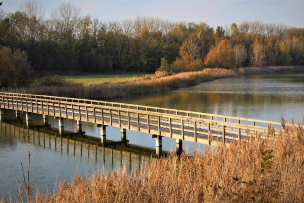 Huisje Vogelenzang Zeeland Синт-Анналанд Экстерьер фото