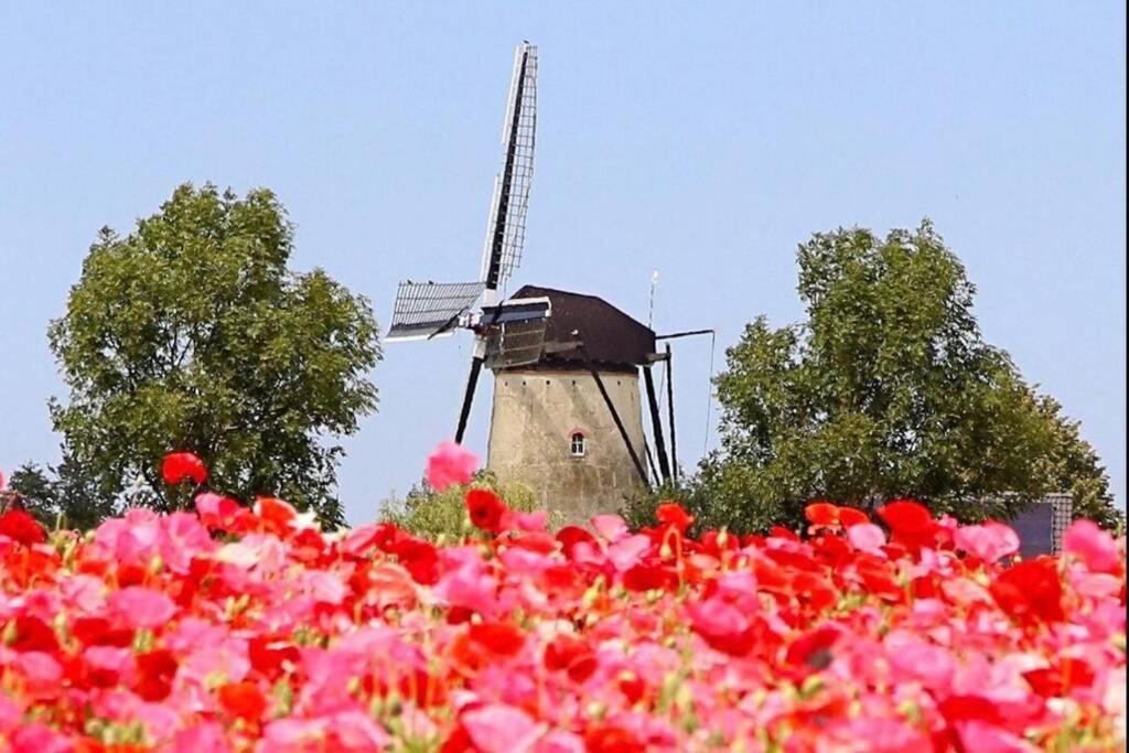 Huisje Vogelenzang Zeeland Синт-Анналанд Экстерьер фото
